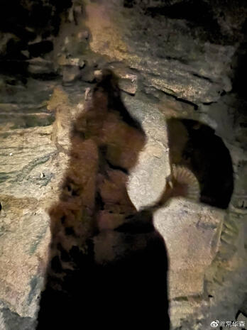 常华森 (CHS Weibo)