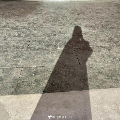 刘津言Anna (LJY Weibo)