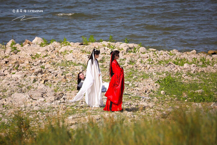 凌潇花海·1230x0528